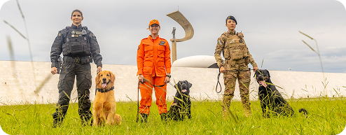 Escadas rolantes Rodoviária